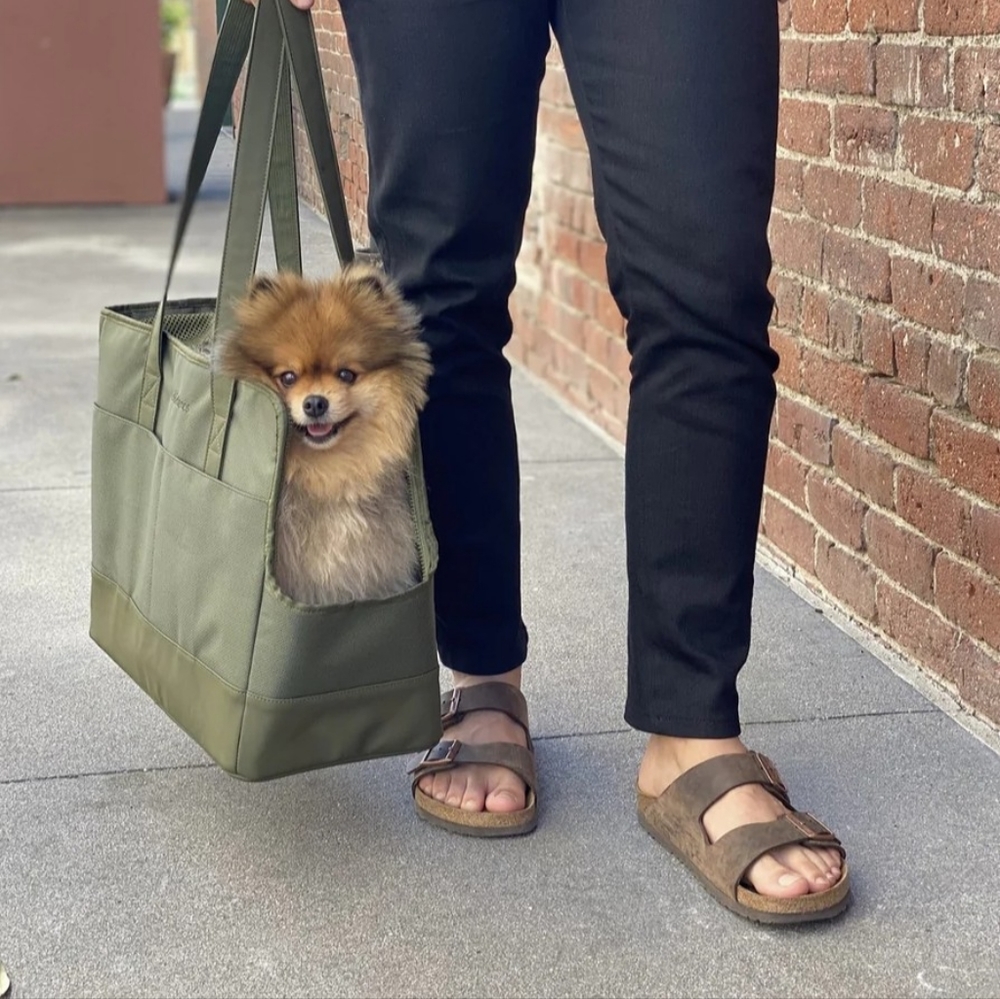 Sage Green Small Dog Animal Carrier Tote Bag by Oskar & Friends